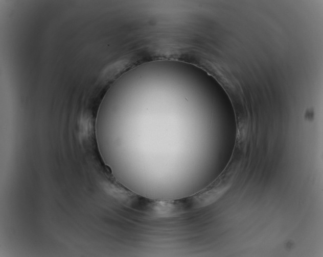 X0000100750623200807031337