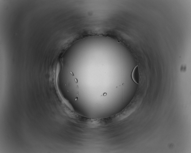 X0000100750624200807031337