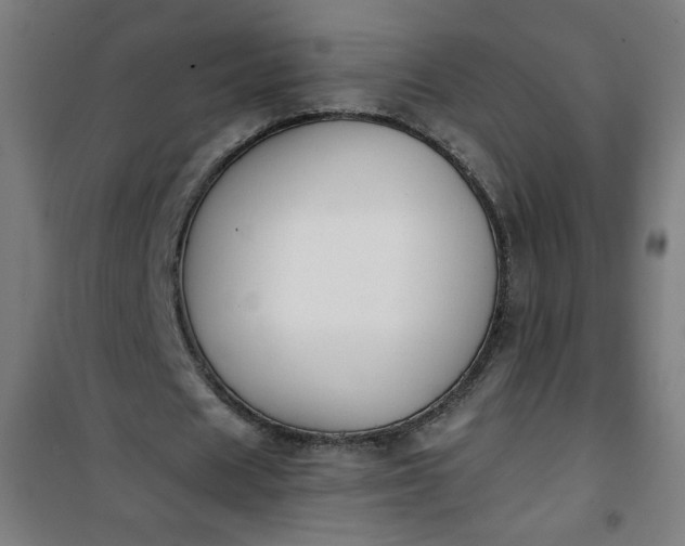 X0000100750625200807031336