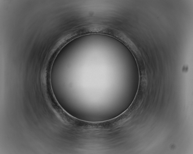 X0000100750626200807031336