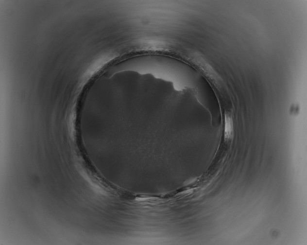 X0000100750627200807031336