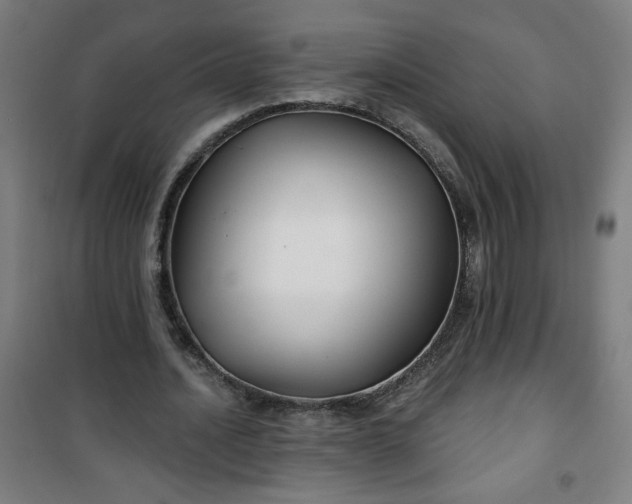 X0000100750628200807031336