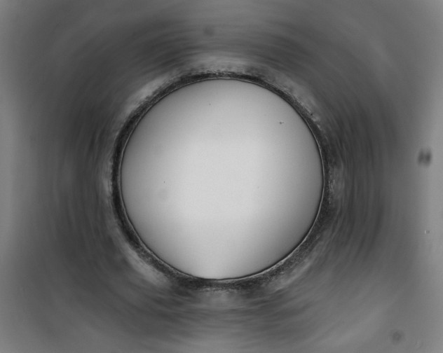 X0000100750629200807031336