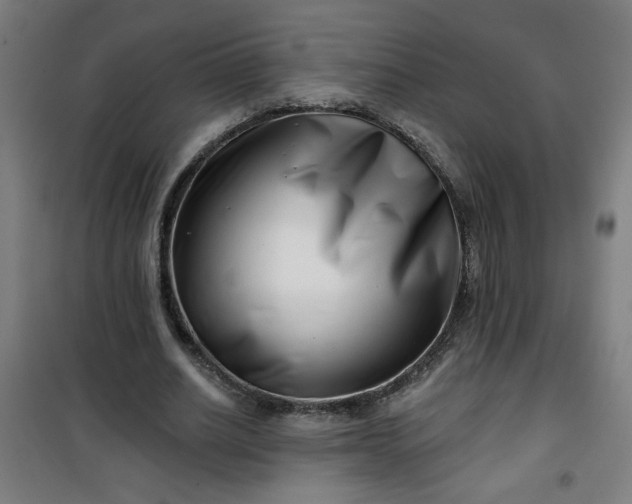 X0000100750630200807031336