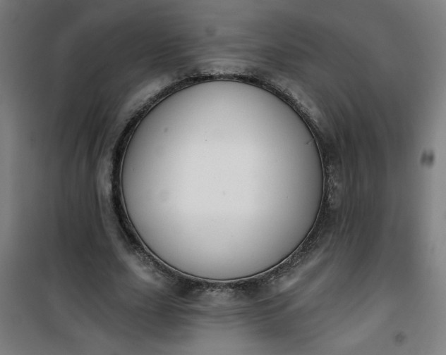 X0000100750631200807031336