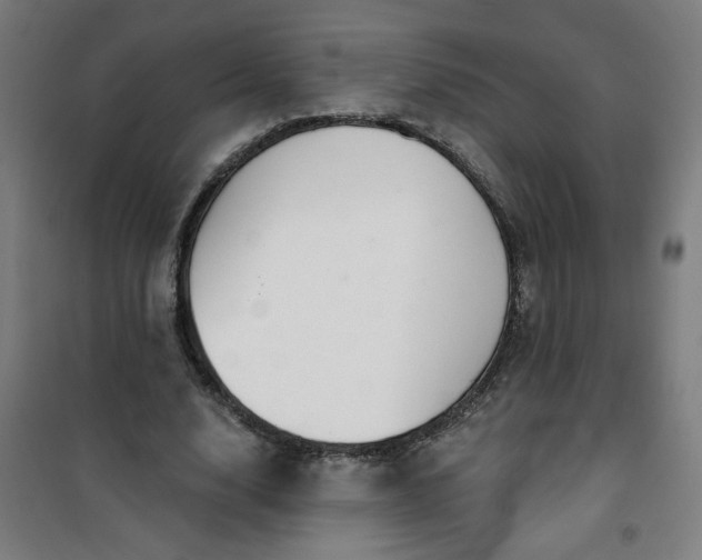 X0000100750632200807031336