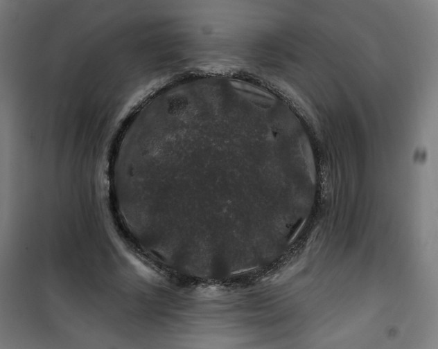 X0000100750634200807031337