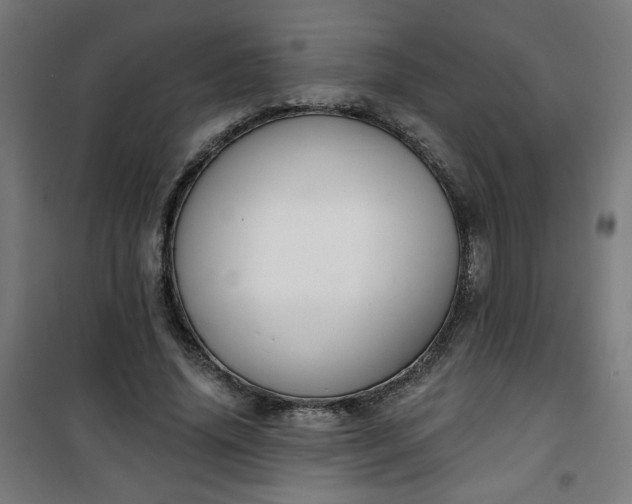 X0000100750636200807031337