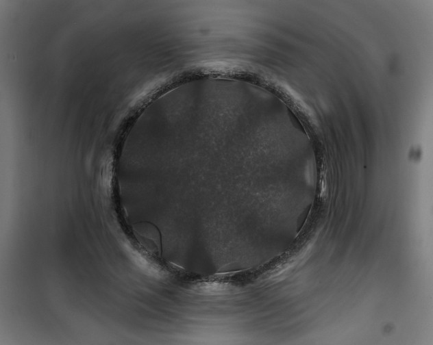 X0000100750637200807031337