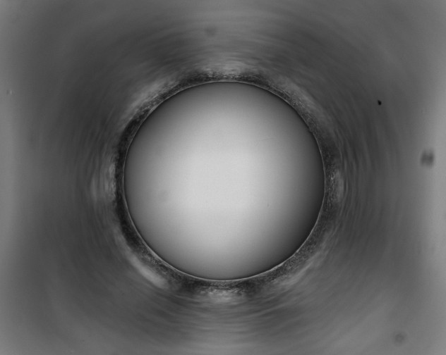 X0000100750638200807031337