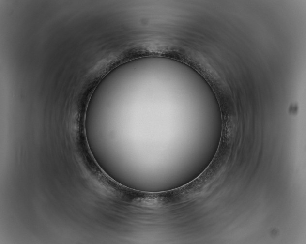 X0000100750639200807031337