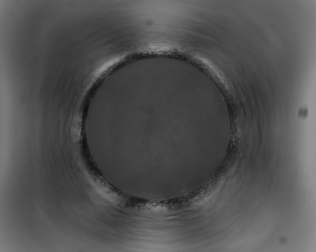 X0000100750640200807031337