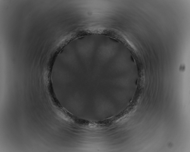 X0000100750641200807031337