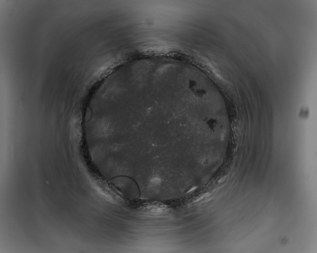 X0000100750642200807031337