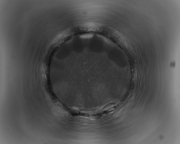 X0000100750643200807031337