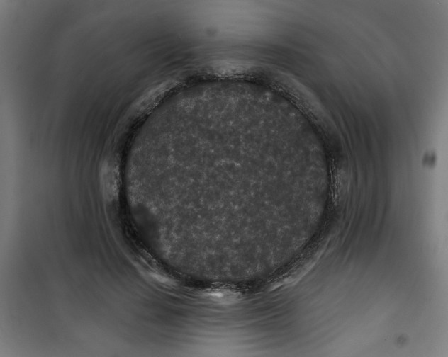 X0000100750644200807031337