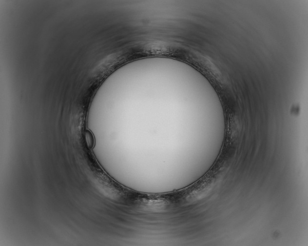 X0000100750645200807031337