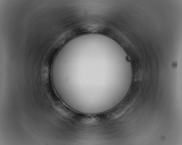 X0000100750646200807031337