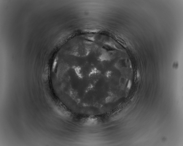 X0000100750647200807031337