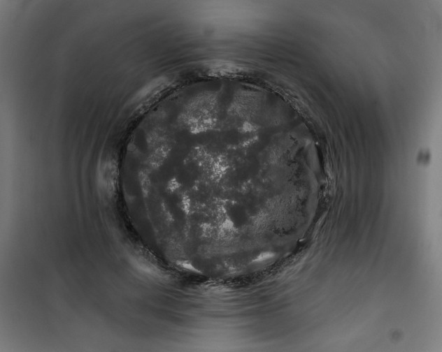 X0000100750648200807031337