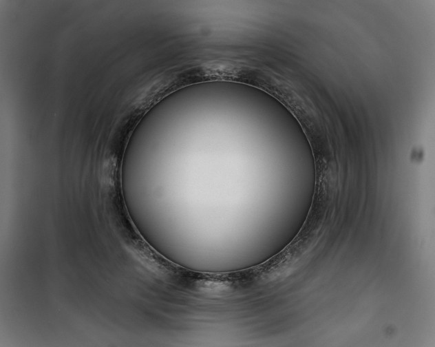 X0000100750649200807031337