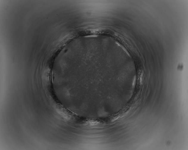 X0000100750650200807031337