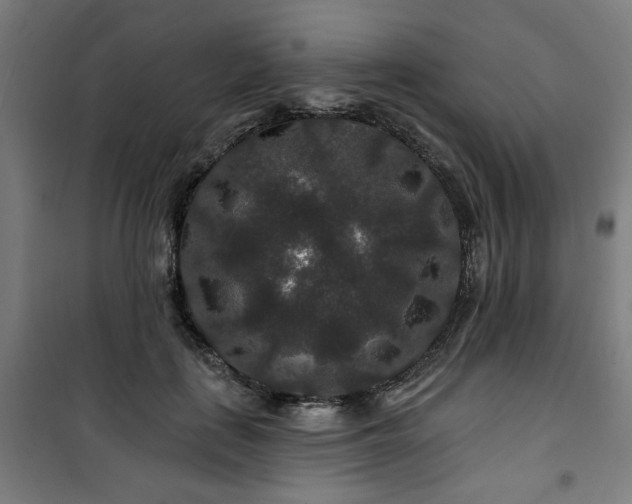 X0000100750651200807031337