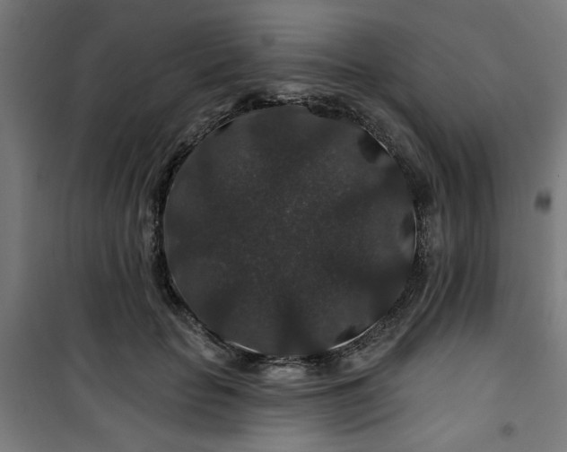 X0000100750653200807031337