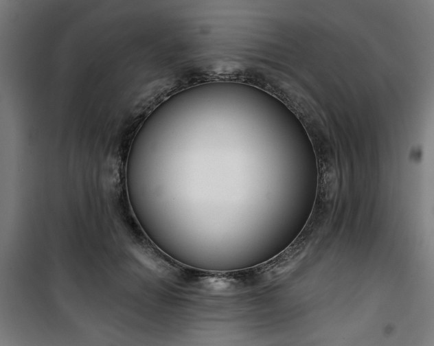 X0000100750654200807031337