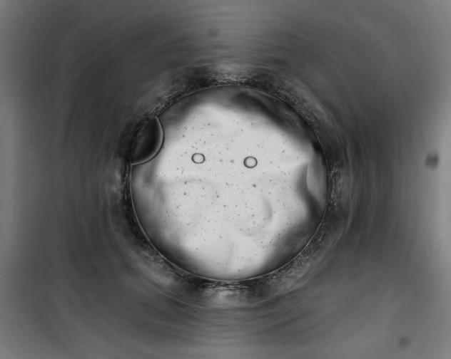 X0000100750655200807031337