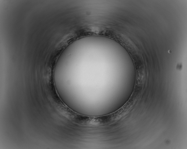 X0000100750656200807031337