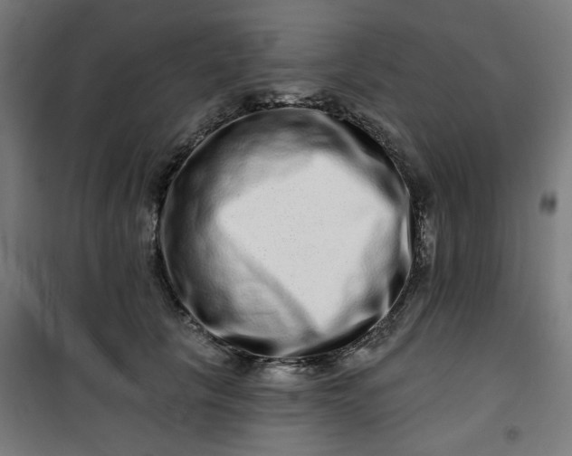 X0000100750657200807031337