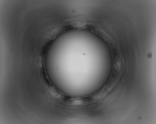 X0000100750658200807031337