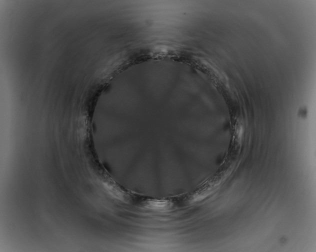 X0000100750659200807031337