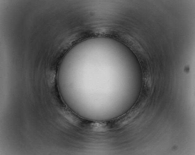 X0000100750660200807031337