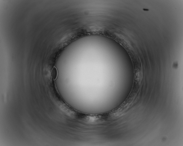 X0000100750662200807031337