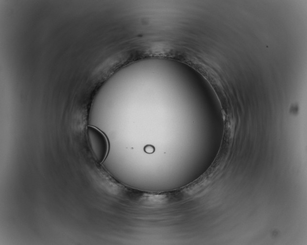 X0000100750665200807031337