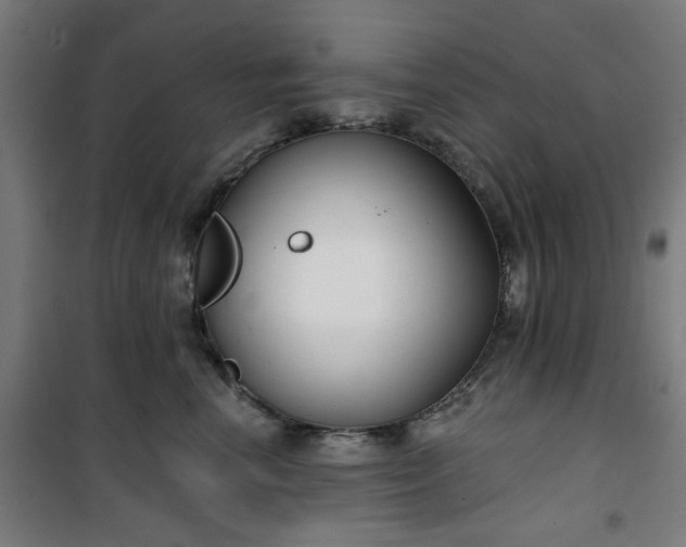 X0000100750666200807031337