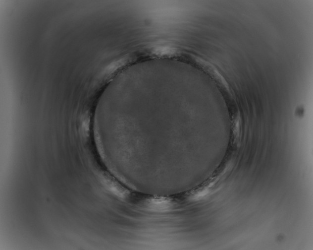 X0000100750668200807031337