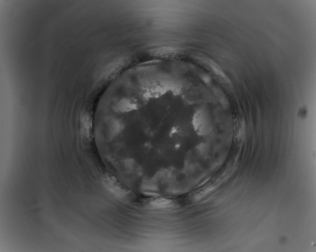 X0000100750669200807031337