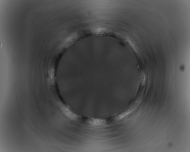 X0000100750670200807031337