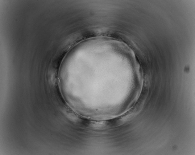 X0000100750671200807031337