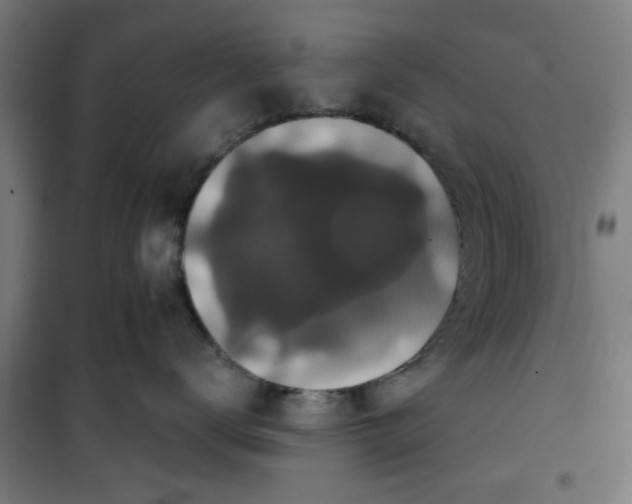 X0000100750672200807031337