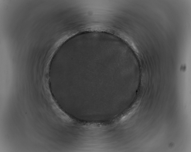 X0000100750673200807031336