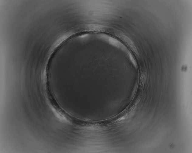 X0000100750674200807031336