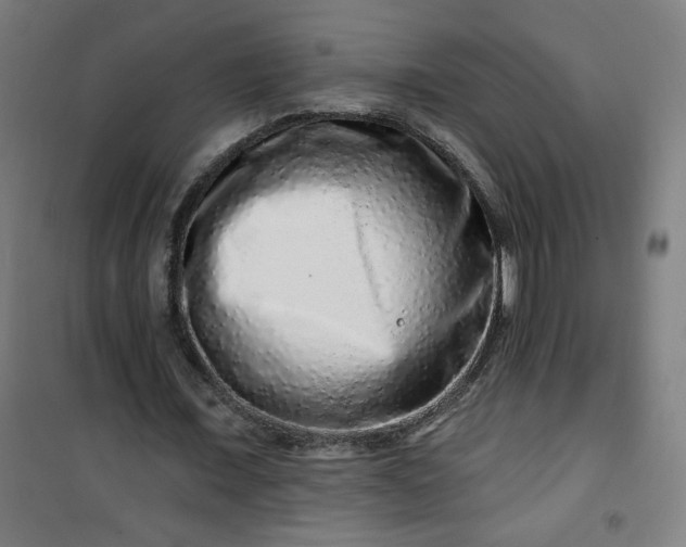 X0000100750675200807031336