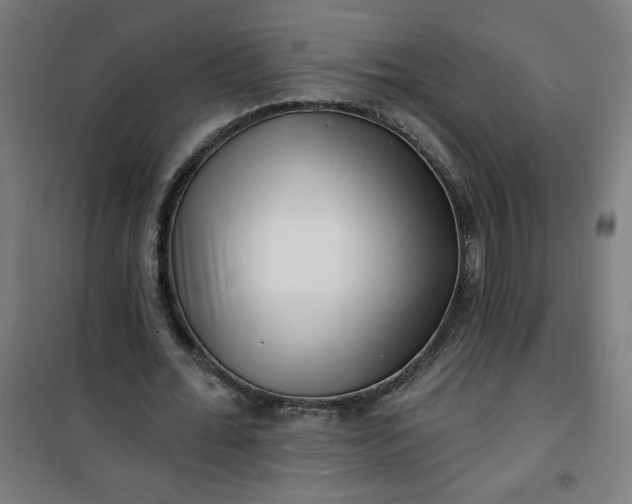 X0000100750676200807031336