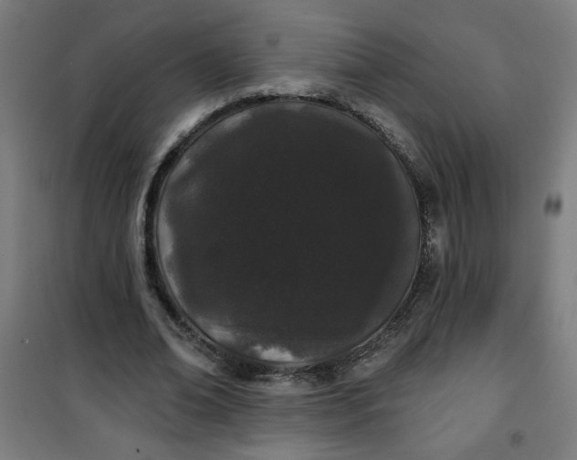 X0000100750678200807031336