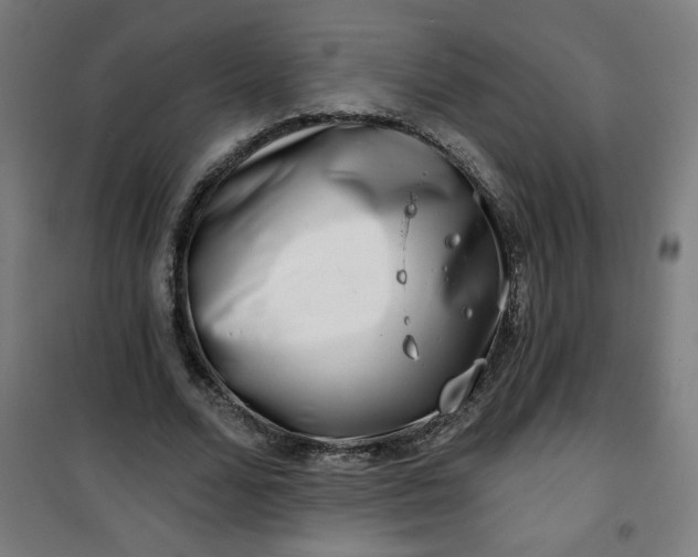 X0000100750680200807031336