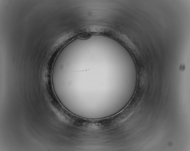 X0000100750683200807031336